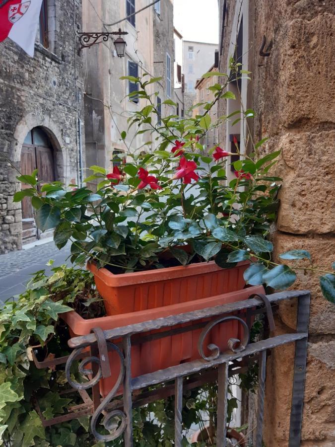 Apartamento Historical Domus Anagni Exterior foto